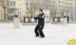 太极拳视频,探寻传统武术的养生奥秘