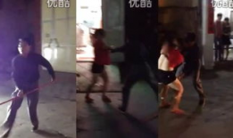 草女人视频,探寻自然与女性的神秘联系